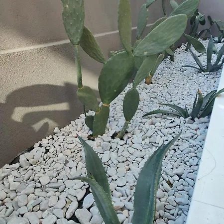 Ξενοδοχείο με διαμερίσματα Light Blue 4*