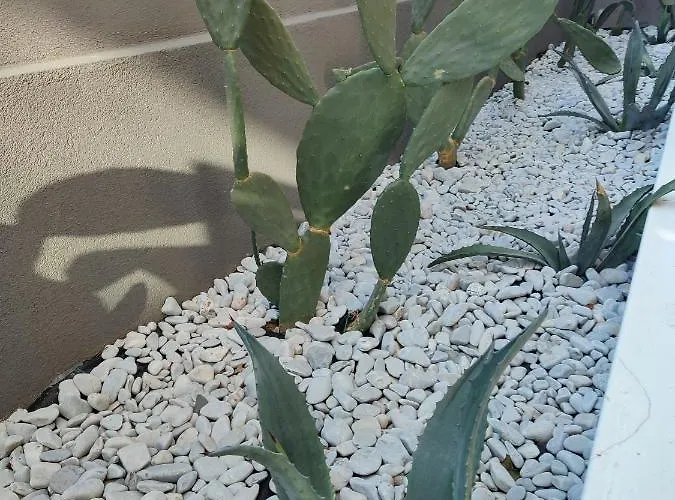 Aparthotel Light Blue 4*